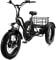 Электровелосипед трехколесный Eco-bike Grizzly M5 700W 36V/15Ah